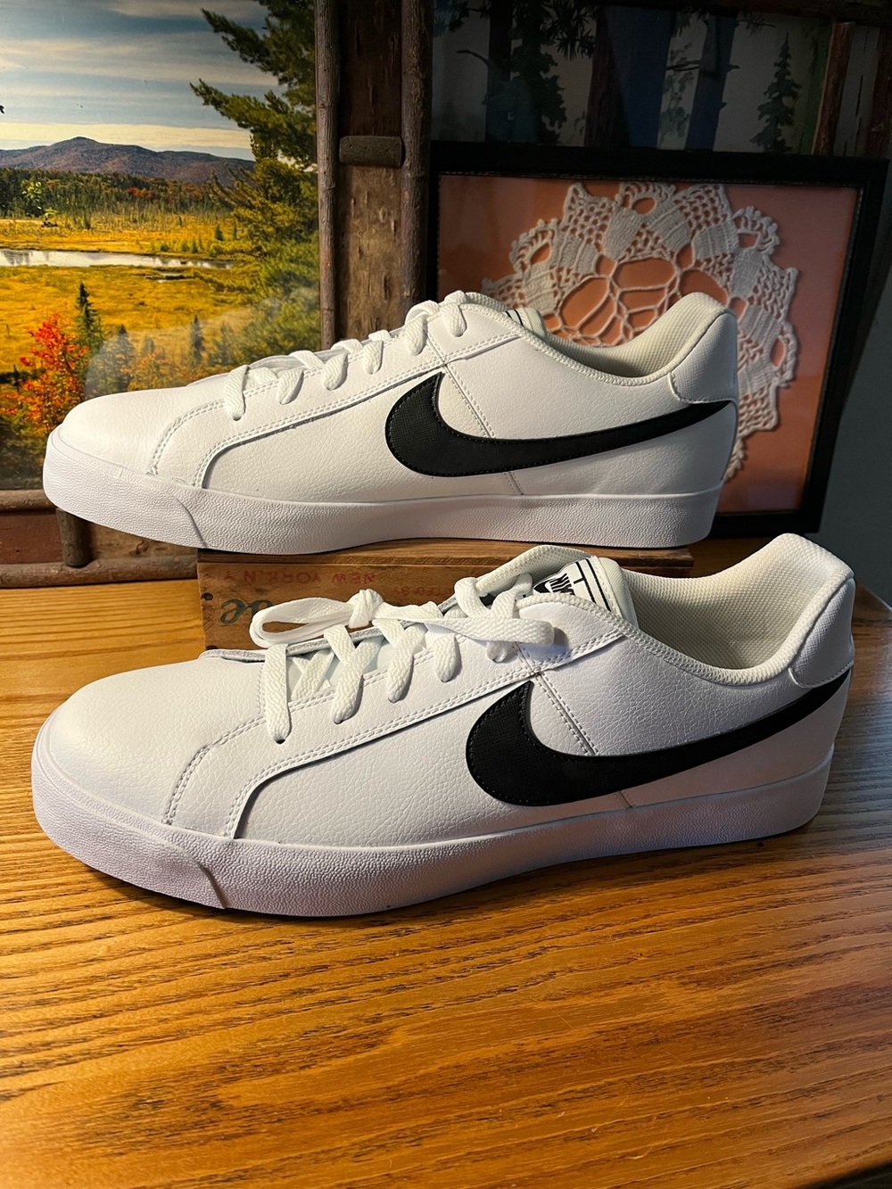 NEW Nike sneakers BQ422-103
